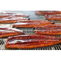 Frozen Roasted Eel for Anguilla Japonica  Anguilla Anguilla and Anguilla Rostrata with High Quality