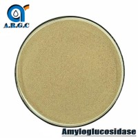 CAS 9032-08-0 Food Grade Powder Enzyme Glucoamylase/Amyloglucosidase
