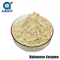 Factory Supply Food Grade Xylanase/ Xylanase Enzyme CAS 37278-89-0