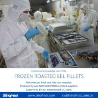 Frozen BBQ Eel  Frozen Roasted Eel  Frozen Prepared Eel  Frozen Grilled Eel  Frozen Smoked Eel  Unag