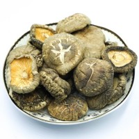 New Crop Dried Shiitake Mushroom