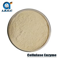 Food Additive Food Grade Cellulase Enzyme CAS 9012-54-8
