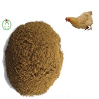 Meat Bone Meal Poultry Protein Feed
