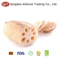 Top Quality Fresh Whole Lotus Root