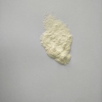 Soybean Peptide Powder/Soy Peptide Powder for Improving Immunity