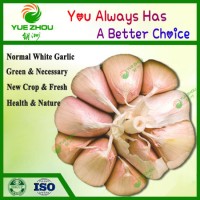 Popular Cheaper Organic New Crop White Garlic From China