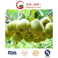 New Crop Fresh Kiwi Fruit for Sale From China
