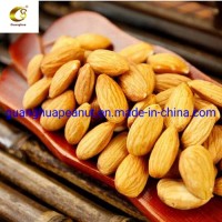 Xinjiang Specialty Almond Nonpareil Roasted