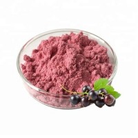 Best Watersoluble Freeze Dried Black Currant Powder