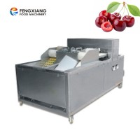 Cl-I Fruit Litchi Cherry Plum Peach Core Removing Machine Food Processor