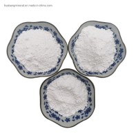 Heavy Calcium Carbonate/Light Calcium Carbonate/Calcium Carbonate Powder/Calcium Powder/CaCO3/Lime P