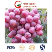 Super Quality Fresh Grape Fresh Crimson Fruits for Exporting