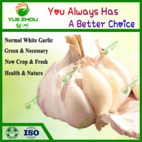 2020 Big Garlic with Top Quality From China Normal White Garlic