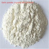 Hot Selling 100~120 Mesh Dehydrated Garlic Powder