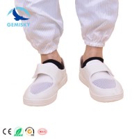 Anti Static ESD Cleanroom Shoes PVC Sole Mesh Safety Shoeanti Static