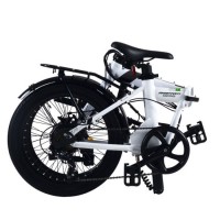 Pedal Assist Lithium Power Lightweight 20 Inch Folding Electric Bike