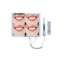 Mslml06 11 Dental Intraoral Camera for Tooth Inspection with Monitor