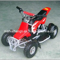 Mini ATV 300W (D56E) for Kids