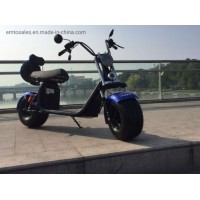 2000W Factory Harley Citycoco Scooter Removable Battery Promotion Product Electric Scooter ESC005-D