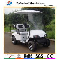 Ec002 Hot Sell 2 Seat Cheap Go Karts for Sale and Electric Golf Cart with Ce