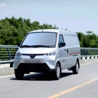 China Ebu 2 Seats Adults Electric Cargo Van Utility Vehicle with EEC