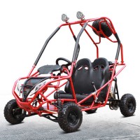 USA Popular DOT EPA Approval Hot Sales Buggy Go Kart Cart HD200-Gkf