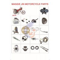 Motorcycle Parts Motor Parts for Gn125