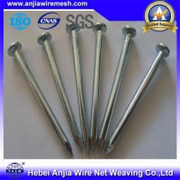 Construction Polished Smooth Shank Common Nails