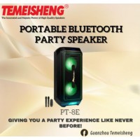 Temeisheng PT-8e LED Light Speaker and Two Wireless Microphones
