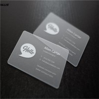 Low Cost Newest Design Full Color 3D Clear Plastic PVC Translucent Custom Logo Printed Business Card