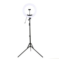10-12 Inch Ring Light with Floor Tripod