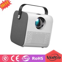 Small and Portable Short Distance Projection Smart Garden Laser Projector