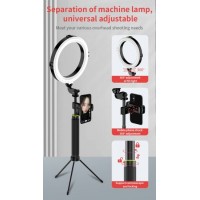 Wholesale Beauty 18 Inch Tiktok Youtube Video Photographic Selfie LED Ring Light with Tripod Stand f