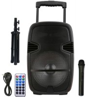 China 15 Inch Trolley Bluetooth Speaker with LCD Screen