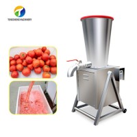 Large Commercial Stainless Steel Citrus Orange Juicer Extractor Machine Food Processor (TS-GZ)