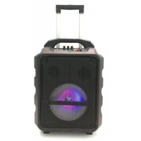 Temeisheng 8inch Indoor out Karaoke Bluetooth Trolley Speaker