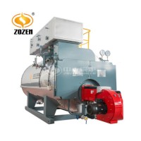 3t/H Industrial Natural Gas Oil Fired Steam Boiler