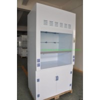 PP Lab Furniture Fuming Cabinet 1200x850X2350mm Polypropylene Standard Type Laboratory Fume Cup