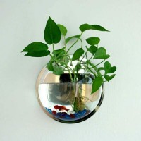 Mini Wall Mounted Round Acrylic Fish Bowl