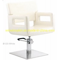 B123 Styling Chairs of Win Win Salon Furniture and Equipment and Beauty Salon Shop