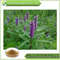 Chinese Mosla Herb Extract 10: 1  Powder