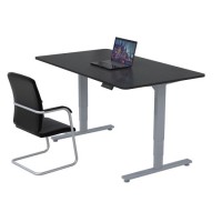 Smart Rectangular Home Office Stand up Desk Table Lifting Electric Sit Stand Desk