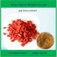 Factory Supply 100% Natural Goji Berry Extract