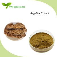 Healthcare Medicine 1%-5% Ligustilide Powder  1% Ferlic Acid Powder/Angelica Sinensis Extract