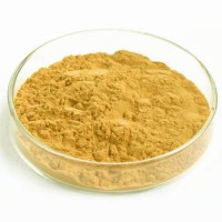 High Quality 30% Silybins/ Milk Thistle Extract for Liver Protection