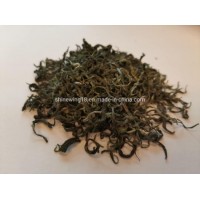 Spring-Fresh Loose Leaf Green Tea Weight Loss