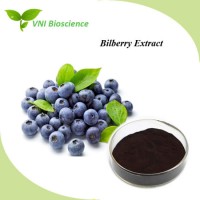 ISO SGS Cetified Natural Bilberry Extract with Anthocyanin 25% HPLC