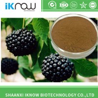 Raw Material Siberian Ginseng Extract with High Quality