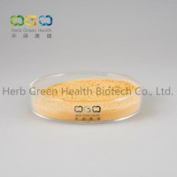 Natural Plant Extract Bitter Apricot Seed for Relieving a Cough /Traditional Chinese Medicine Herb H