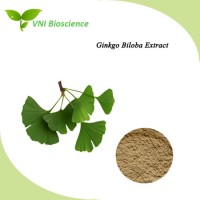 ISO Certified Natural Ginkgo Biloba Leaf Extract for Antibacterial